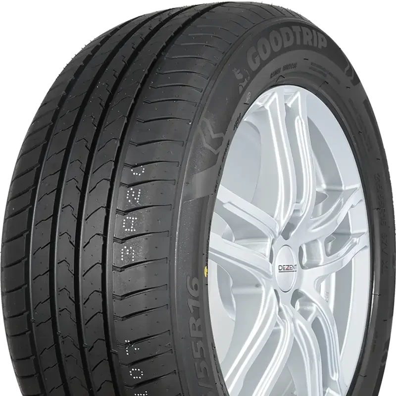 Goodtrip BlueGuard 225/65 R17 102 V