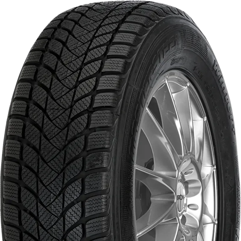 Mastersteel WINTER + 225/55 R17 97 H