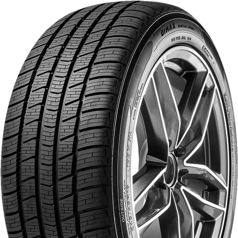 Radar Dimax Winter Sport 295/35 R21 107 V XL