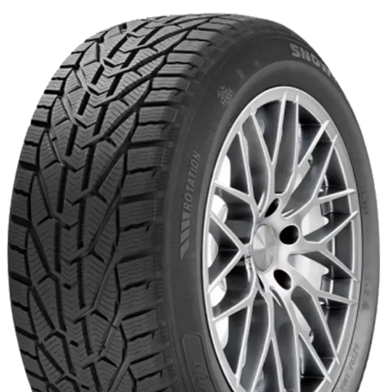 Riken Snow 205/65 R16 95 H